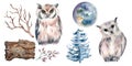 Set of owls and forest plants watercolor illustration isolated on white.