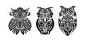 Set of owls print. Polynesia and Maori patterns. Good for t-shirts, cups, phone cases and more. Vector illustration. Royalty Free Stock Photo