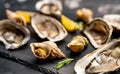 Set of oysters and snails on black platter Royalty Free Stock Photo