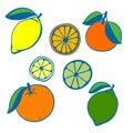 A set of painted citrus fruits. Lemon and lime, orange and grapefruit. Whole fruits and halves. Vector Royalty Free Stock Photo