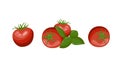 A set of painted different red tomatoes