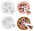 A set of painted pizza colored and for coloring. Italian pizza. Hand drawn sketch, vector illustration