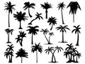 Set of Palm Tree silhouette vector art