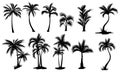 Set Of Palm Trees. Collection Of Silhouette Of Palm Tree. The Contours Of Tropical Plants. Black White Illustration Of