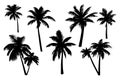 Set of palm trees silhouette isolated on white background. Vector Illustration. Royalty Free Stock Photo