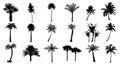 Set of palm trees silhouettes Royalty Free Stock Photo