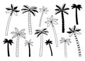 Set of palm trees, vector illustration, hand drawn and silhouette of palm, isolated icon. Black drawing on a white Royalty Free Stock Photo