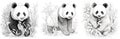 Set of panda illustrations for kids coloring book. Coloring page collection with black and white panda bear illustrations for