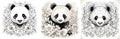 Set of panda illustrations for kids coloring book. Coloring page collection with black and white panda face illustrations for