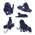 Set of Panther vector illustration design. Panther logo design Template Royalty Free Stock Photo