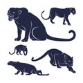 Set of Panther vector illustration design. Panther logo design Template Royalty Free Stock Photo