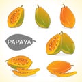 Set of papaya fruit in various styles vector format