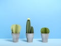 Set of paper green cactuses in pot. Royalty Free Stock Photo