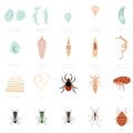 Set of parasites Royalty Free Stock Photo