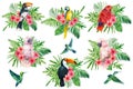 Set with parrot, hummingbird and toucan tropical palm leaves, plumeria flowers. watercolor exotic illustration Royalty Free Stock Photo