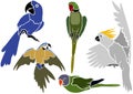 Set of Parrots Icons Royalty Free Stock Photo