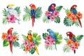 Set of parrots on an isolated white background, watercolor painting, jungle design illustration