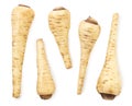Set of parsnip root on a white background, isolated. Top view Royalty Free Stock Photo