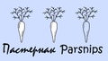 A set of parsnips fruit objects with the inscription \