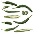 Set of Pasilla Bajio. Chilaca chili pepper.