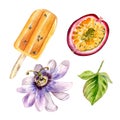 Set of passion fruit ice cream and flower watercolor illustration isolated on white. Royalty Free Stock Photo