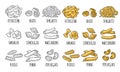 Set pasta. Farfalle, conchiglie, maccheroni, fusilli, penne, pipe rigate. Engraving