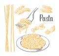Set pasta - farfalle, conchiglie, penne, fusilli and spaghetti on fork. Royalty Free Stock Photo