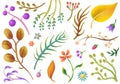 Set of pastel plant elements, flowers, leaves, floral clipart