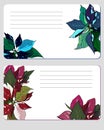 Set of patterns for text. Label with red poinsettia flowers. Vector illustration for signatures, business cards Royalty Free Stock Photo