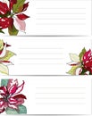 Set of patterns for text. Label with red poinsettia flowers. Vector illustration for signatures, business cards Royalty Free Stock Photo