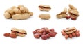 Peanut fruits dried legume