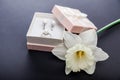 Set of pearl jewellery in gift box with flower. Silver earrings and ring with pearls as a present for Mother`s day. Royalty Free Stock Photo