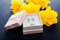 Set of pearl jewellery in gift box with flowers. Silver earrings and ring with pearls as a present for Mother`s day. Royalty Free Stock Photo