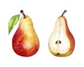 Set of pears in red and yellow, entire fruit with leaf and a half, watercolor illustration on white background Royalty Free Stock Photo