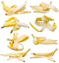 Set of peeled bananas and banana peels isolated