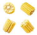 Set of peeled corn slices on a white background. Isolated Royalty Free Stock Photo