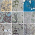 Set of peeling paint textures. Old concrete walls with cracked flaking paint Royalty Free Stock Photo