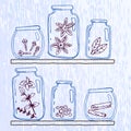 Set of pellucid glass jars with different spices in sketch style Royalty Free Stock Photo
