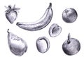 Set of pencil drawn fruits, banana, pear, apricot, strawberry, apple. Freehand drawing. illustration for package design, eco