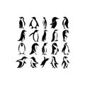 Set of Penguin icon. Penguin symbol design Royalty Free Stock Photo