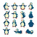 Set of penguins in different poses. One character on the move. Northern bird, childish cute character. Vector flat