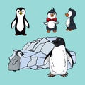 Set of penguins of different species, illustration of a family of seabirds penguins on a blue background