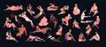 Set of people of different figure type. Various men and women dressed in swimwear isolated on black background. Body