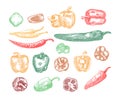 Set of pepper hand drawn sketch. Red hot chili peppers and bell peppers sketch illustration. Detailed pepper drawing Royalty Free Stock Photo