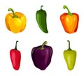 Set of pepper on white background. Variety vector pepper in flat style Royalty Free Stock Photo