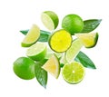 Set of perfectly retouched limes with leaves, whole halves and slices isolated on white background. Limes fly through space. Royalty Free Stock Photo