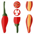 Set of Peri peri chili peppers. Flat style. Royalty Free Stock Photo