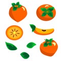 Set with persimmon. Vector illustration. In flat style Royalty Free Stock Photo