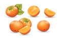 Set of persimmon whole, half and sliced. Tasty seasonal fresh fruit, delicious exotic persimmon