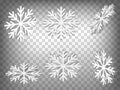 Set of perspective projections 3d Snowflake model icons on transparent background. 3d Snowflakes. Abstract concept of graphic el